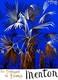 Affiche Poster Menton