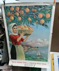 Affiche Ancienne Tourisme Albanie Femme Cueillant Des Orange
