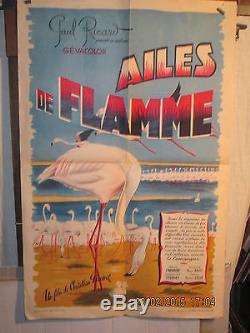 Affiche Cinema Ricard Camargue Flamands Roses