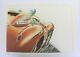 Affiche Originale Ferrari Age D'or Lanvin Autodrome Linas Monthlery Mirgalet