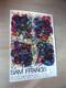 Affiche Ancienne Sam Francis 1972 Whitney Museum