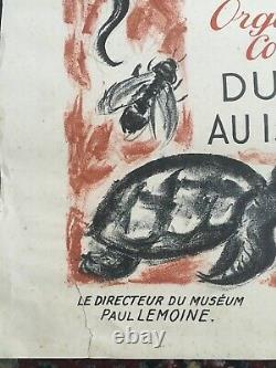 Affiche ancienne originale L'art Animalier années'30