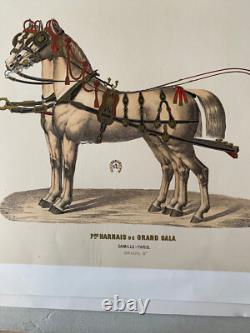 Affiche ancienne originale entoilée Camille Paris 72 X 52 cm