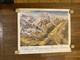 Affiche Vall&eacute;e Chamonix Panoramique Mont Blanc Sign&eacute;e Koller Entoil&eacute;e