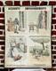 Ancienne Affiche Carte Deyrolle Accidents Empoisonnements Pédagogique