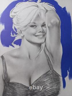 Aslan Lot De 5 Affiches / Posters Dessins Au Crayon Papier Sur Fond Couleur