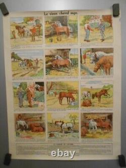 Authentique Affiche Ancienne Genre Agricole Le Vieux Cheval Sage