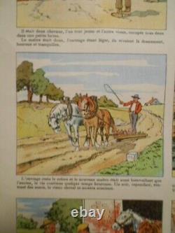 Authentique Affiche Ancienne Genre Agricole Le Vieux Cheval Sage