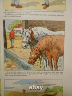 Authentique Affiche Ancienne Genre Agricole Le Vieux Cheval Sage