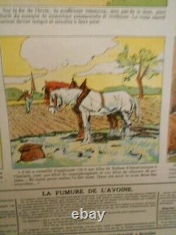 Authentique Affiche Ancienne Genre Agricole Le Vieux Cheval Sage