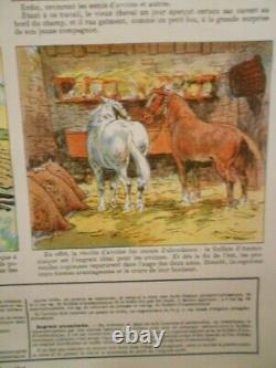 Authentique Affiche Ancienne Genre Agricole Le Vieux Cheval Sage