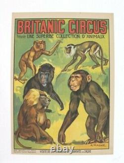 Cirque Affiche Originale Britanic Circus 5 Singes Monkeys A. Magne Litho