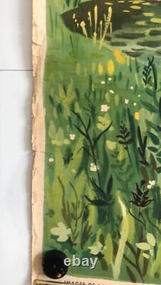 Hélène Poirier Lot De 5 Affiches Scolaires 1950