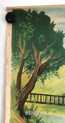 Hélène Poirier Lot De 5 Affiches Scolaires 1950
