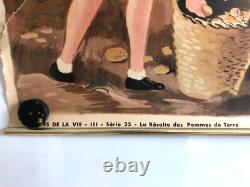 Hélène Poirier Lot De 5 Affiches Scolaires 1950