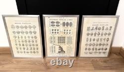 Lot 9 Affiches Anciennes LETANG Fils Paris Moules Pâtisseries Déco Vintage